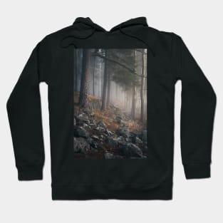 Foggy forest landscape Hoodie